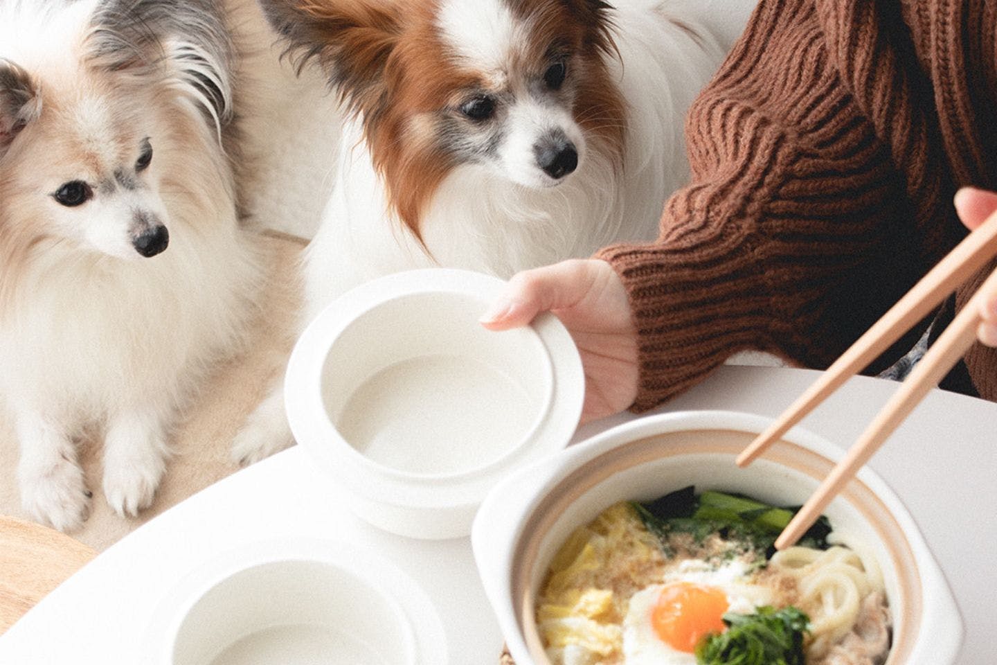 愛犬の幸せが最優先」犬ごはん先生・いちかわあやこさんが考える、手作りごはんと犬との暮らし|ワンクォール