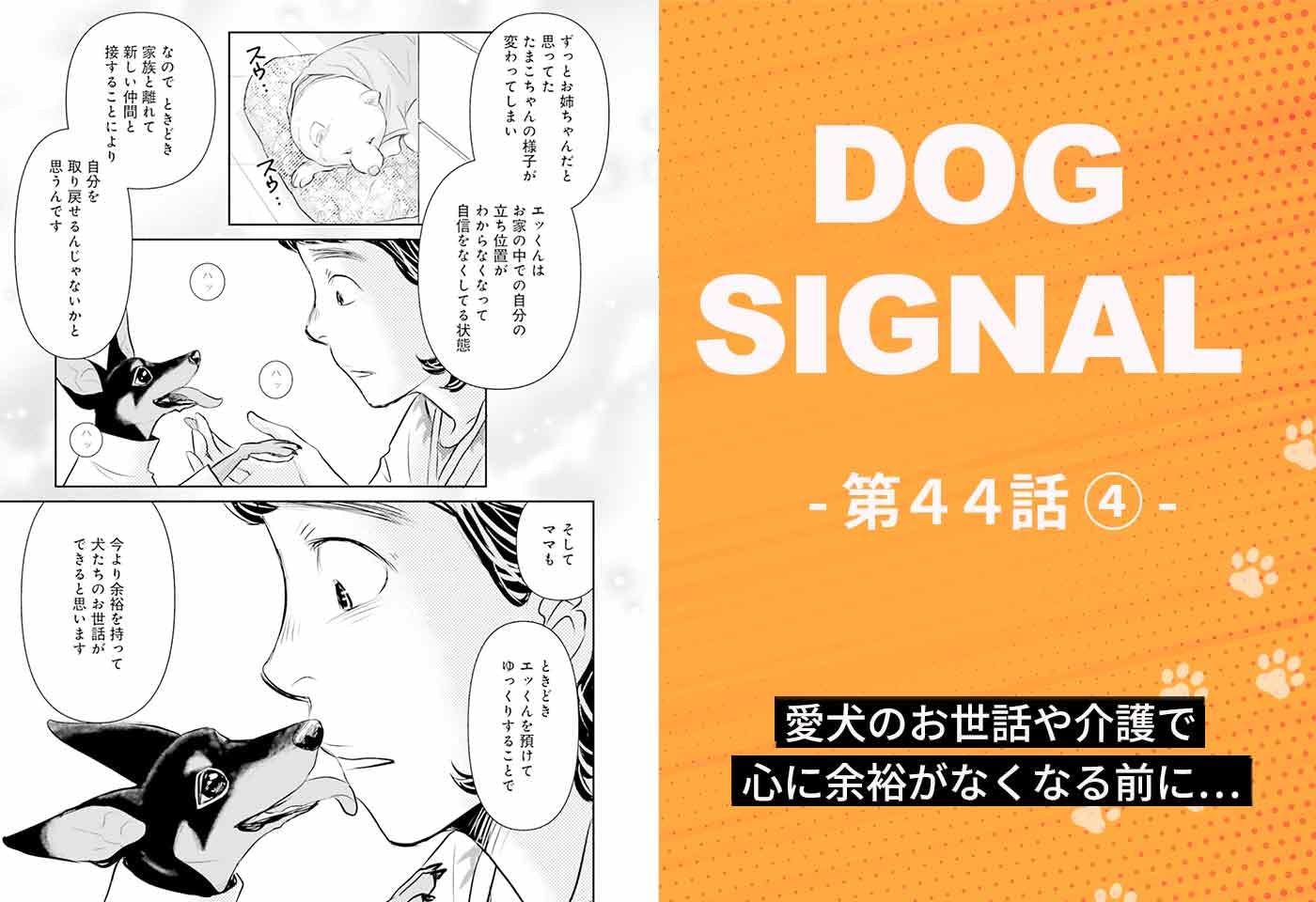 漫画『DOG SIGNAL（ドッグシグナル）』44話目4/4　犬の幼稚園ってなに？ 愛犬のお世話で大切なこと