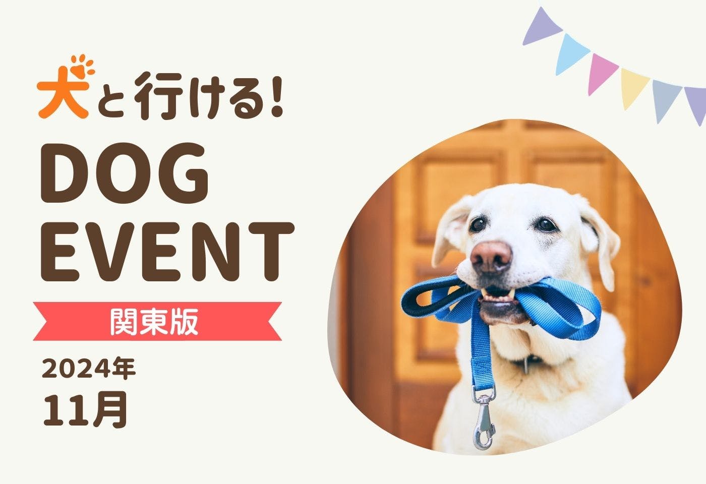 【関東版】愛犬と行きたいドッグイベント2024年11月