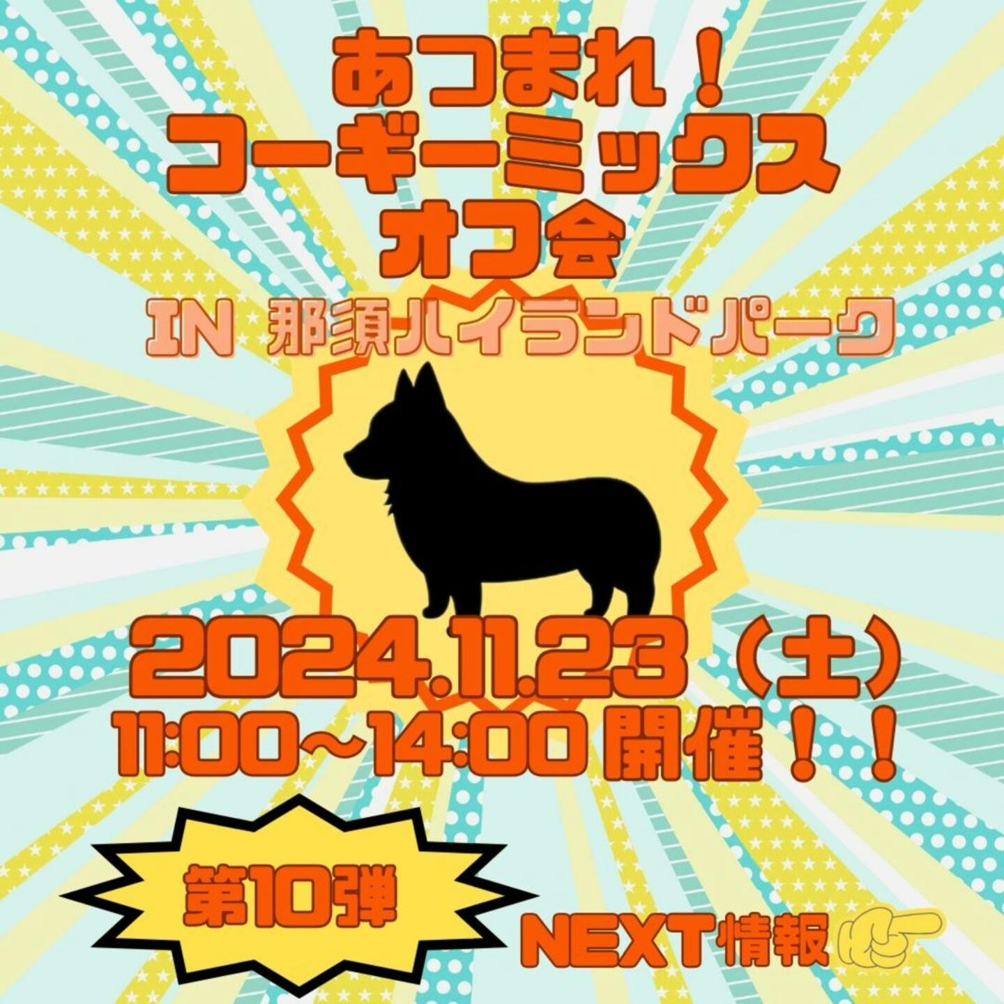 【11/23】あつまれ！コーギーミックスオフ会in那須ハイランドパーク（栃木）