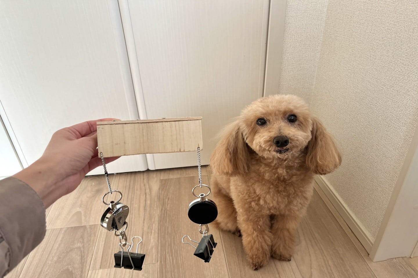 リールキーホルダーを使った、愛犬の開けっぱなし防止の自動ドア