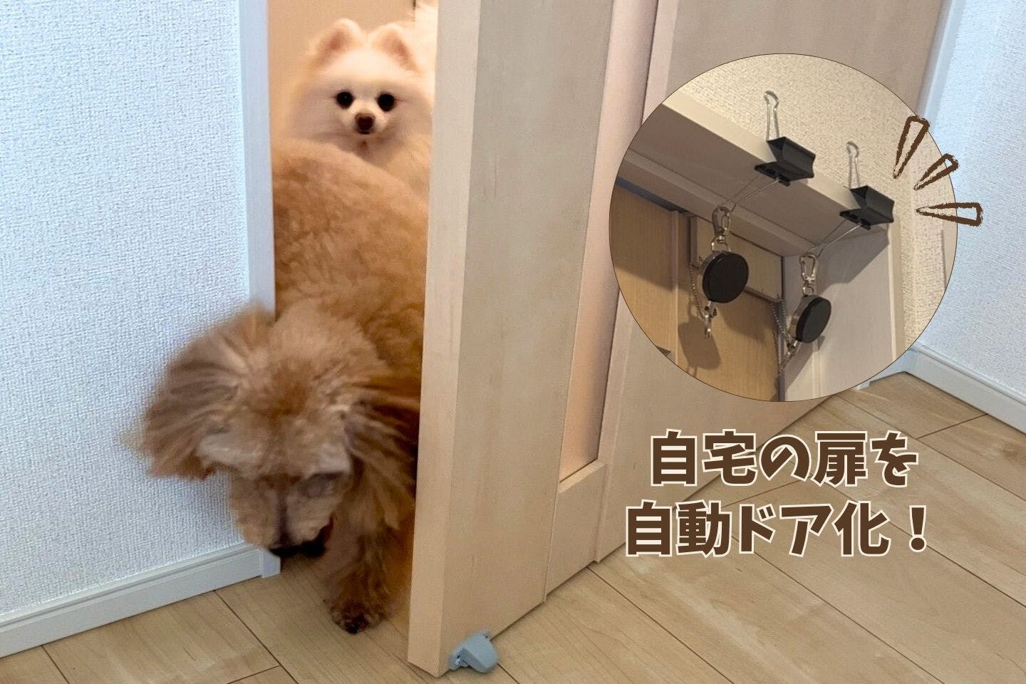 工事不要！ 賃貸でもできる、予算2,000円以内の簡単自動ドア【カインズ愛犬DIY】