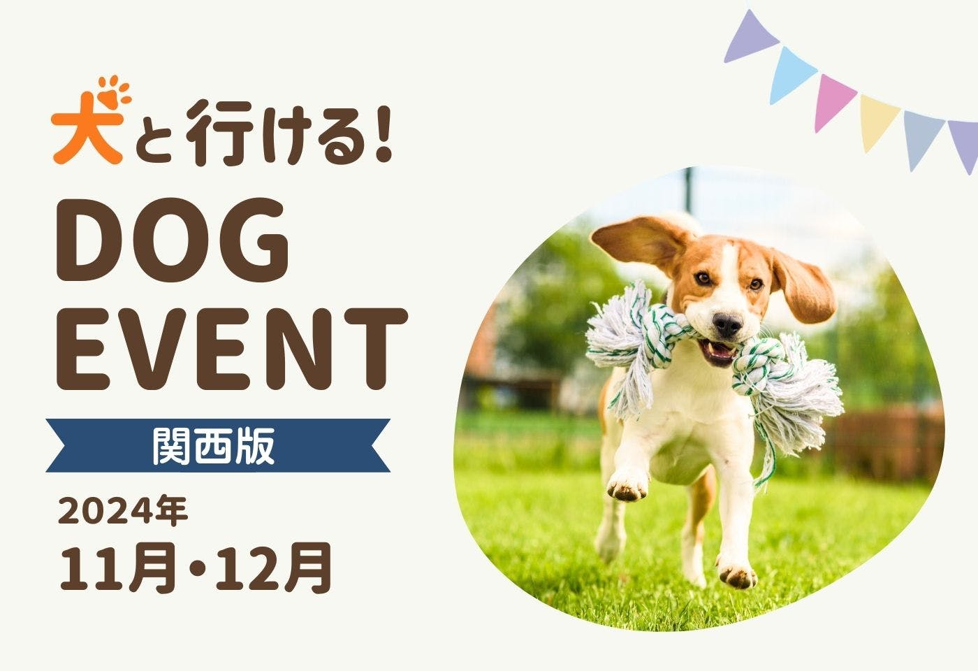 【関西版】愛犬と行きたいドッグイベント2024年11月・12月