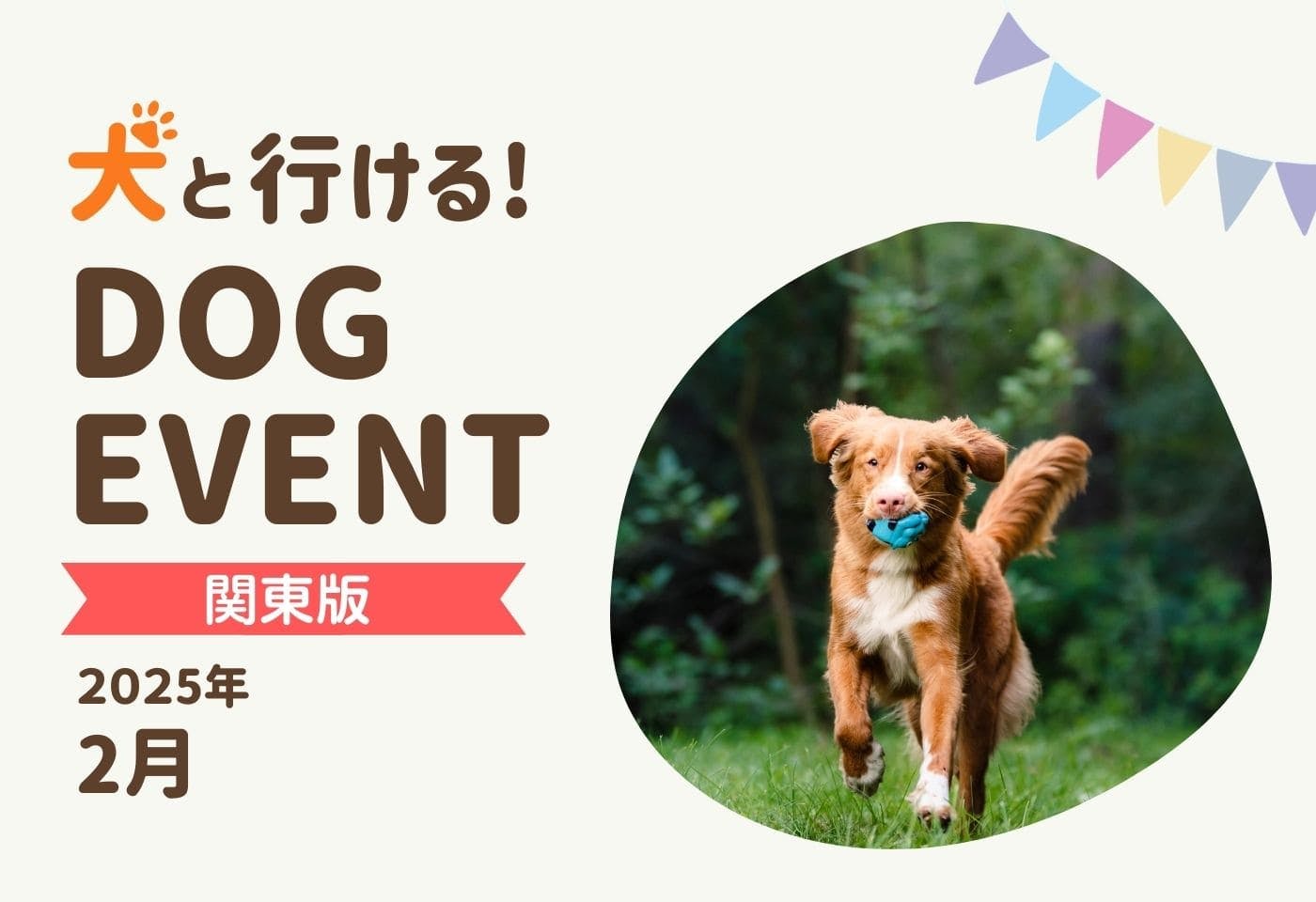 【関東版】愛犬と行きたいドッグイベント2025年2月