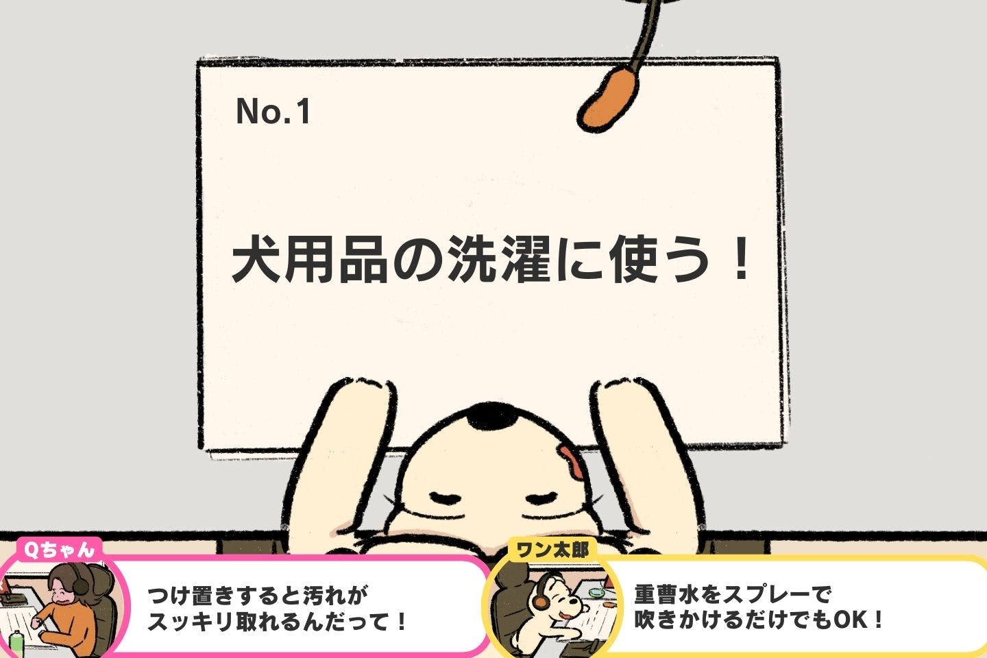 愛犬との暮らしに役立つ、重曹の効果的な使い方5選《ドッグライフハックス#04》