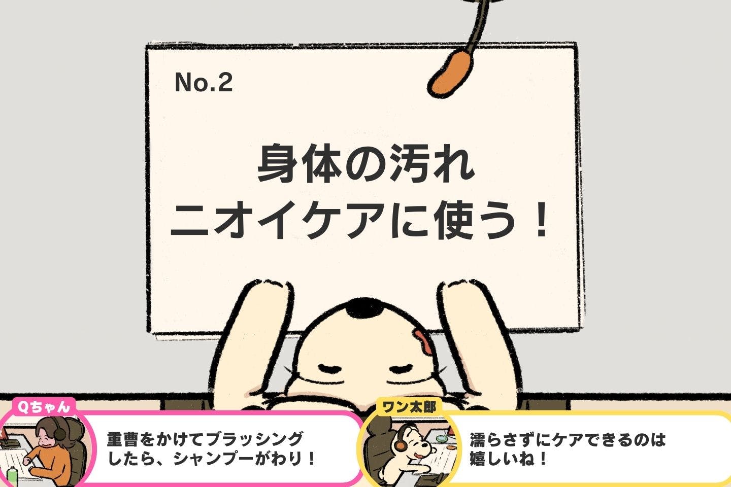 愛犬との暮らしに役立つ、重曹の効果的な使い方5選《ドッグライフハックス#04》