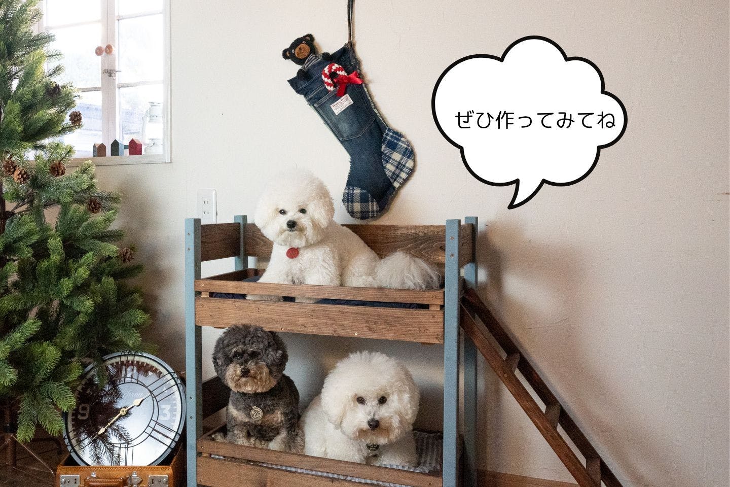 クリスマス　愛犬の靴下オーナメント