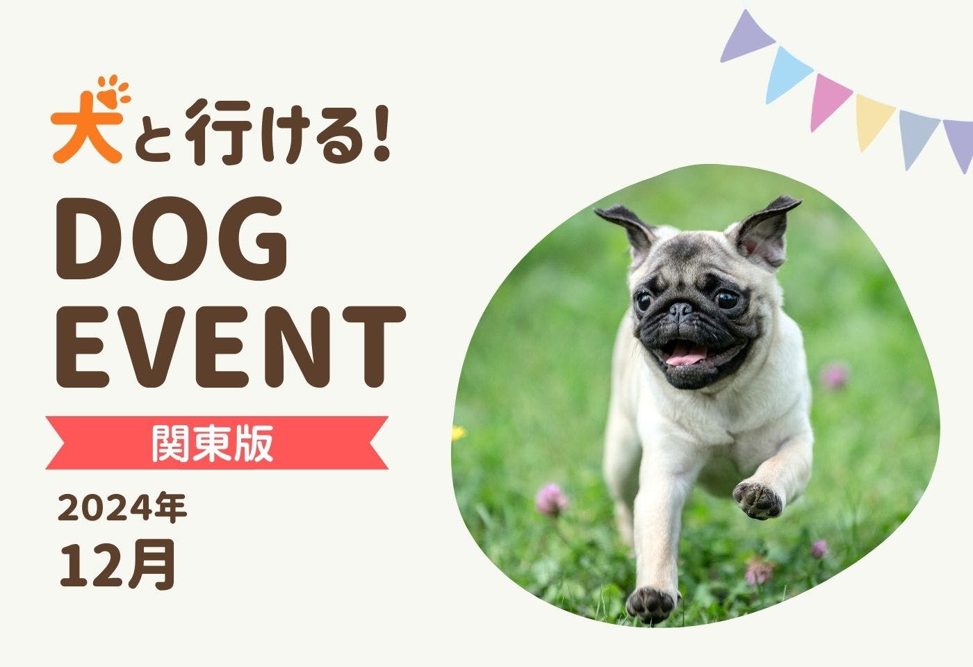 【関東版】愛犬と行きたいドッグイベント2024年12月