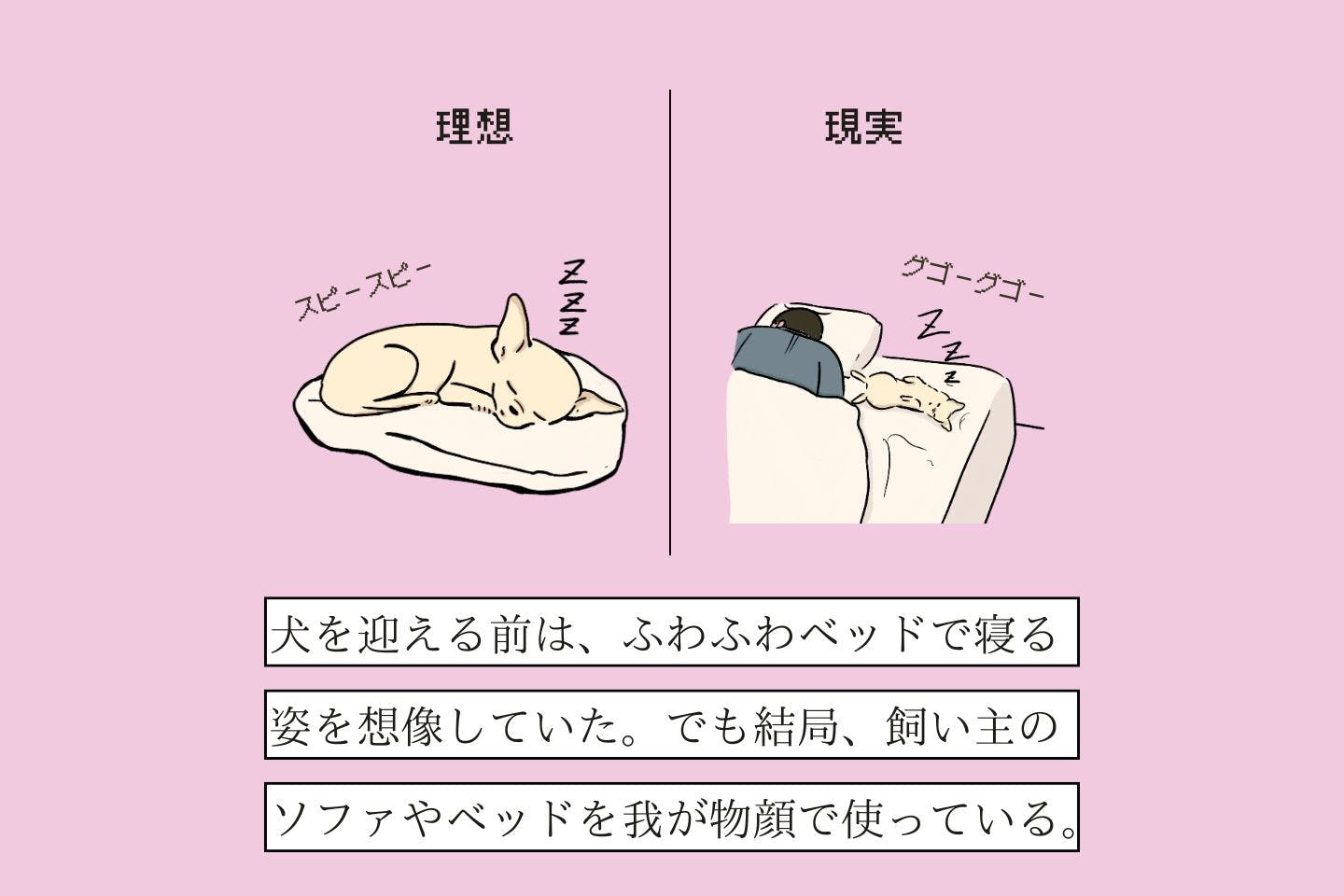 オデコクッツケヌシの生態《変な飼いヌシ図鑑053》 【変な飼いヌシ図鑑No.057】犬を迎える前の「理想」と迎えた後の「現実」の違いを知った飼い主『リソウトゲンジツヌシ』
