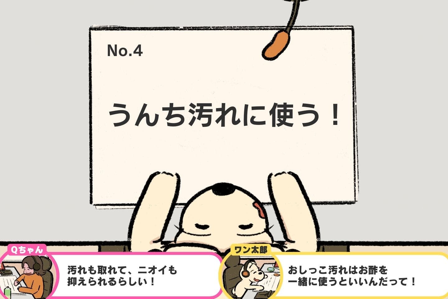 愛犬との暮らしに役立つ、重曹の効果的な使い方5選《ドッグライフハックス#04》