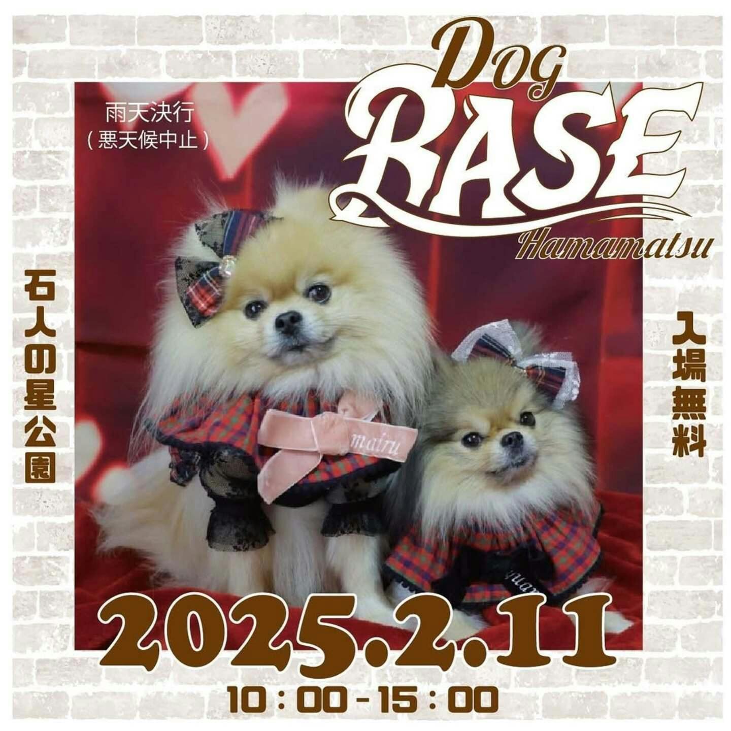 【2025/2/11】DOG BASE in Hamamatsu（静岡）