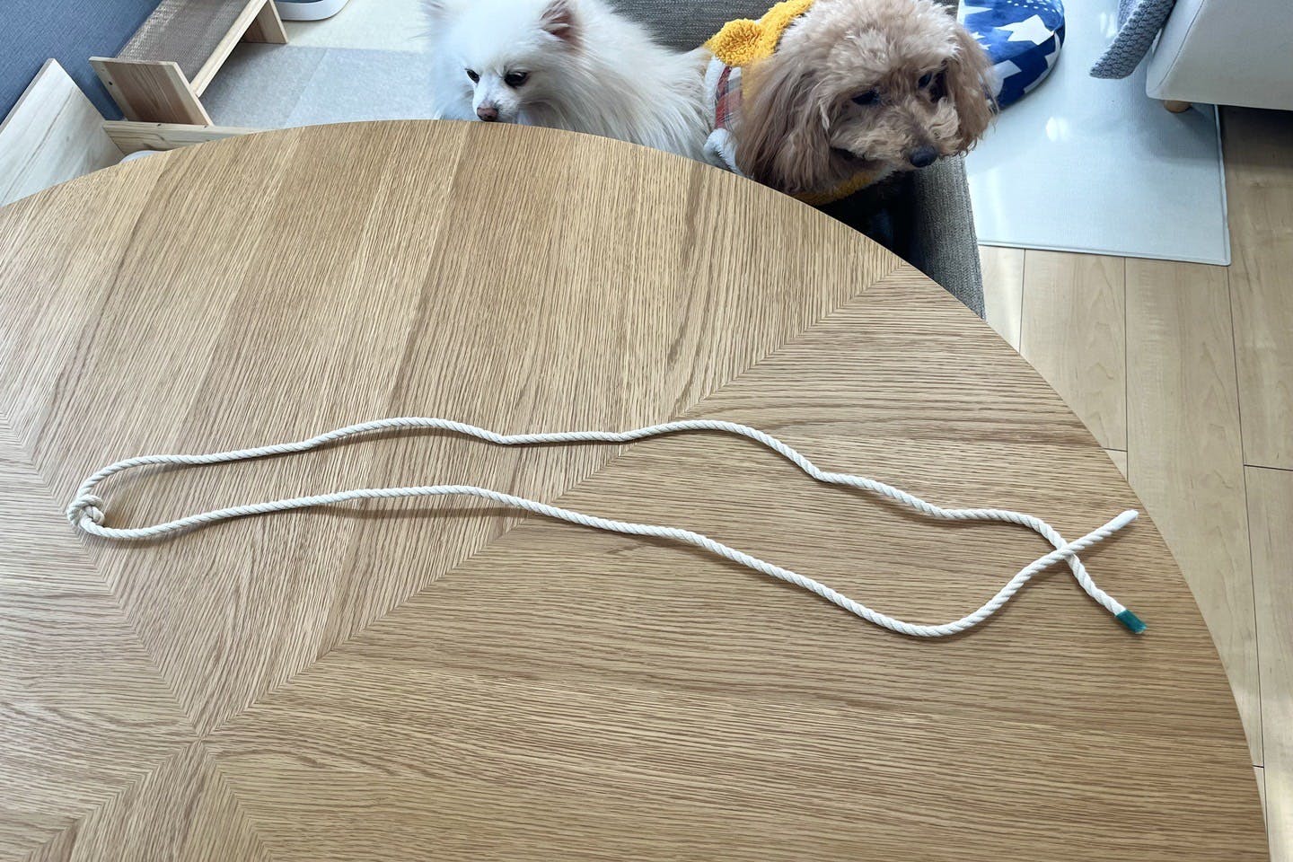 dogdiy_85_02 ロープを一つ結びする