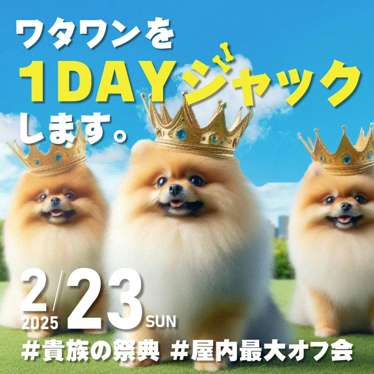 【2025/2/23】貴族の祭典《ワタワンジャック》World Pomeranian Festival 2025（大阪）