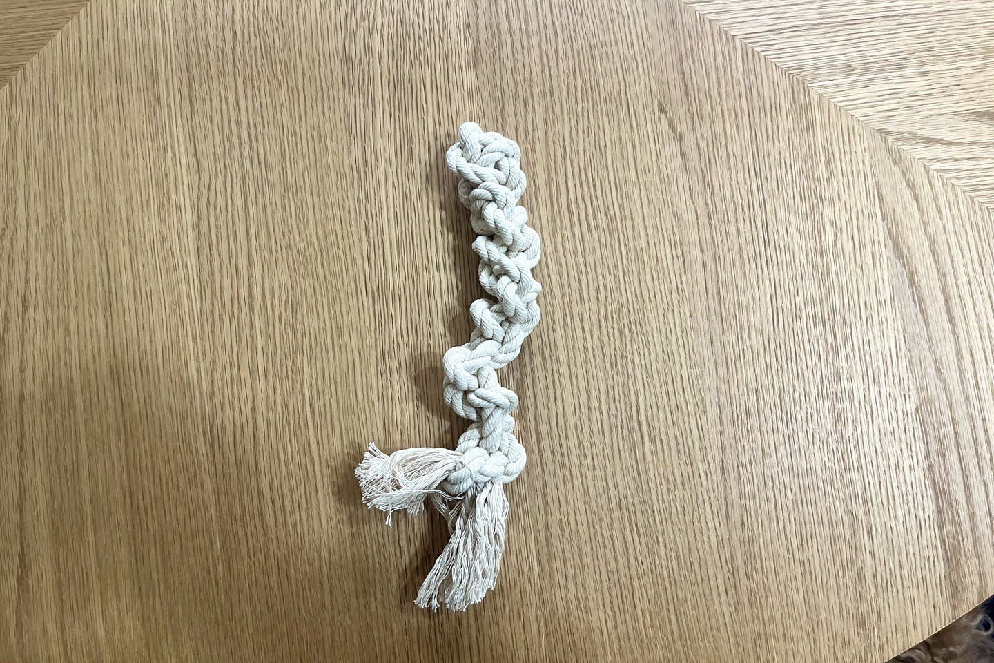 超簡単 5分でできるロープおもちゃ 超簡単 5分でできるロープおもちゃ