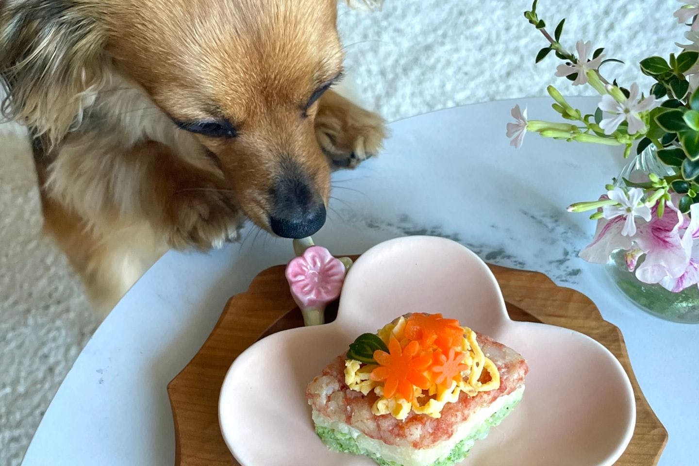 【レビュー】菱餅（ひしもち）風おやつを愛犬にあげてみた！