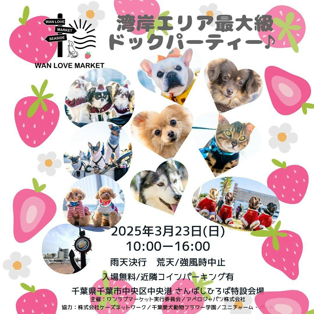 【2025/3/23】第14回WAN LOVE MARKET at Spring（千葉）