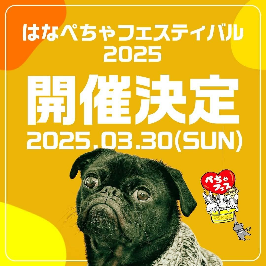 【2025/3/30】はなぺちゃフェスティバル（東京）