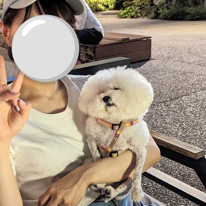 nodoka（愛犬家）