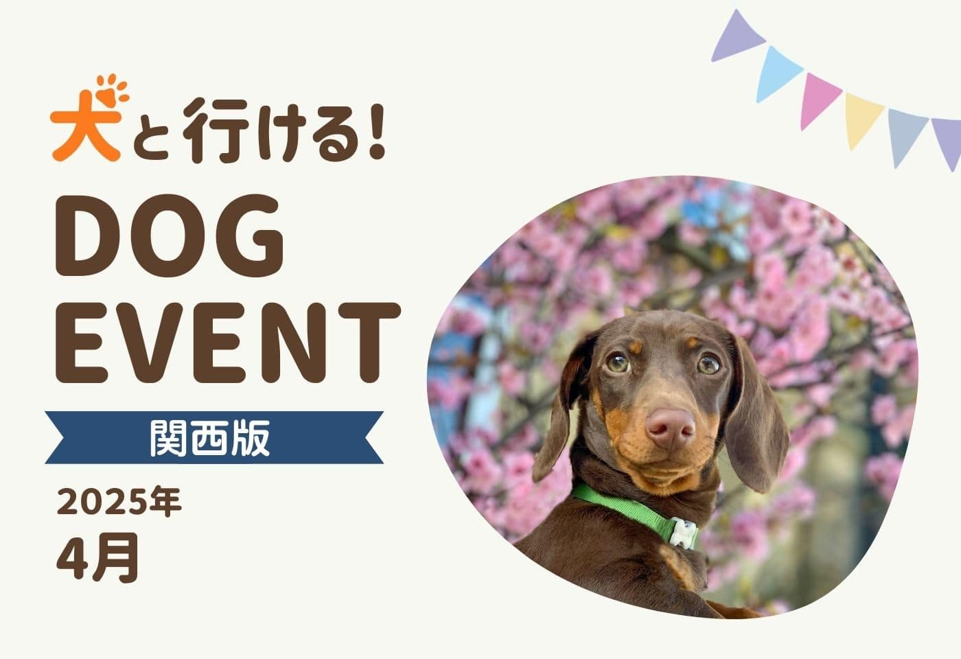 【関西版】愛犬と行きたいドッグイベント2025年4月