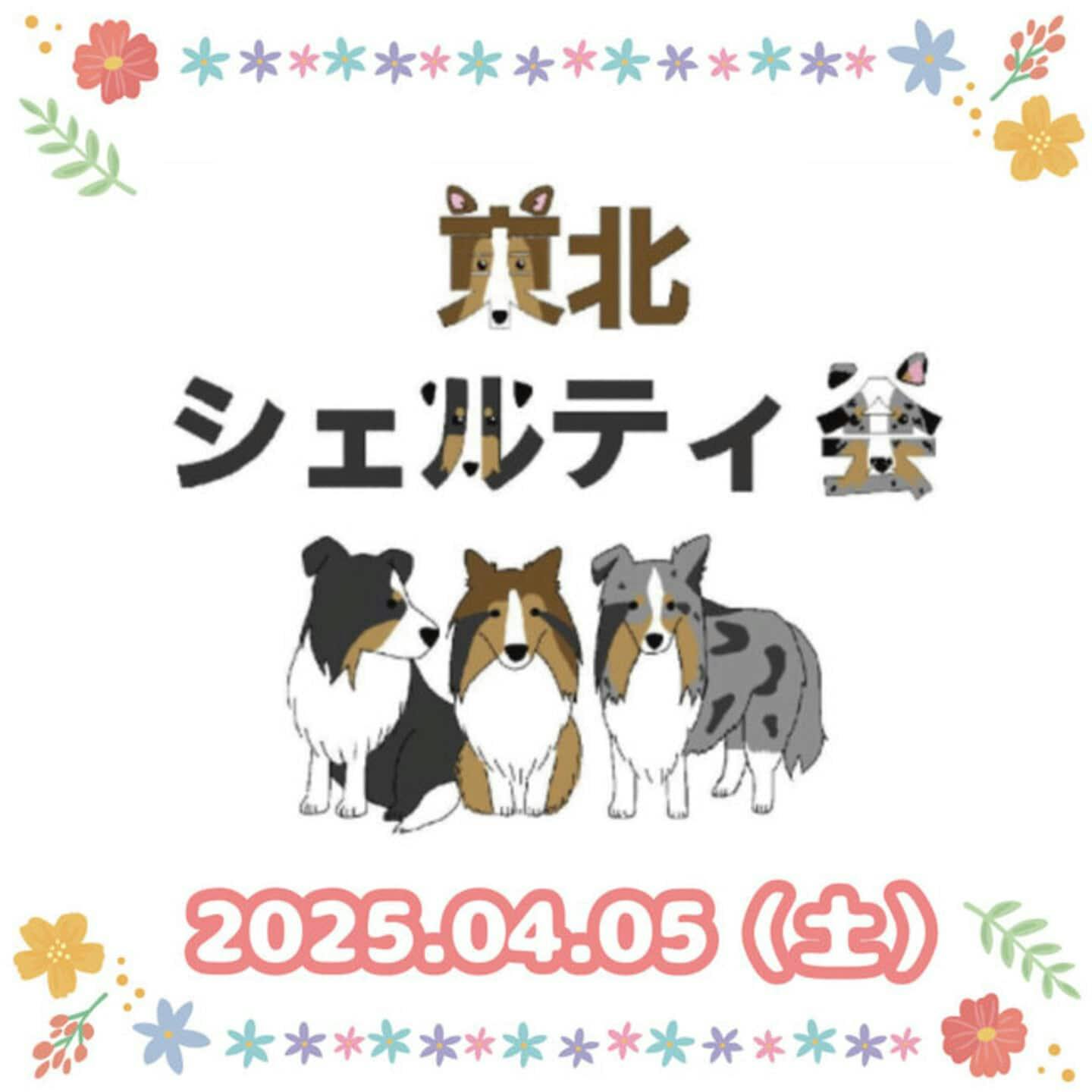 【2025/4/5】東北シェルティ会（栃木県）