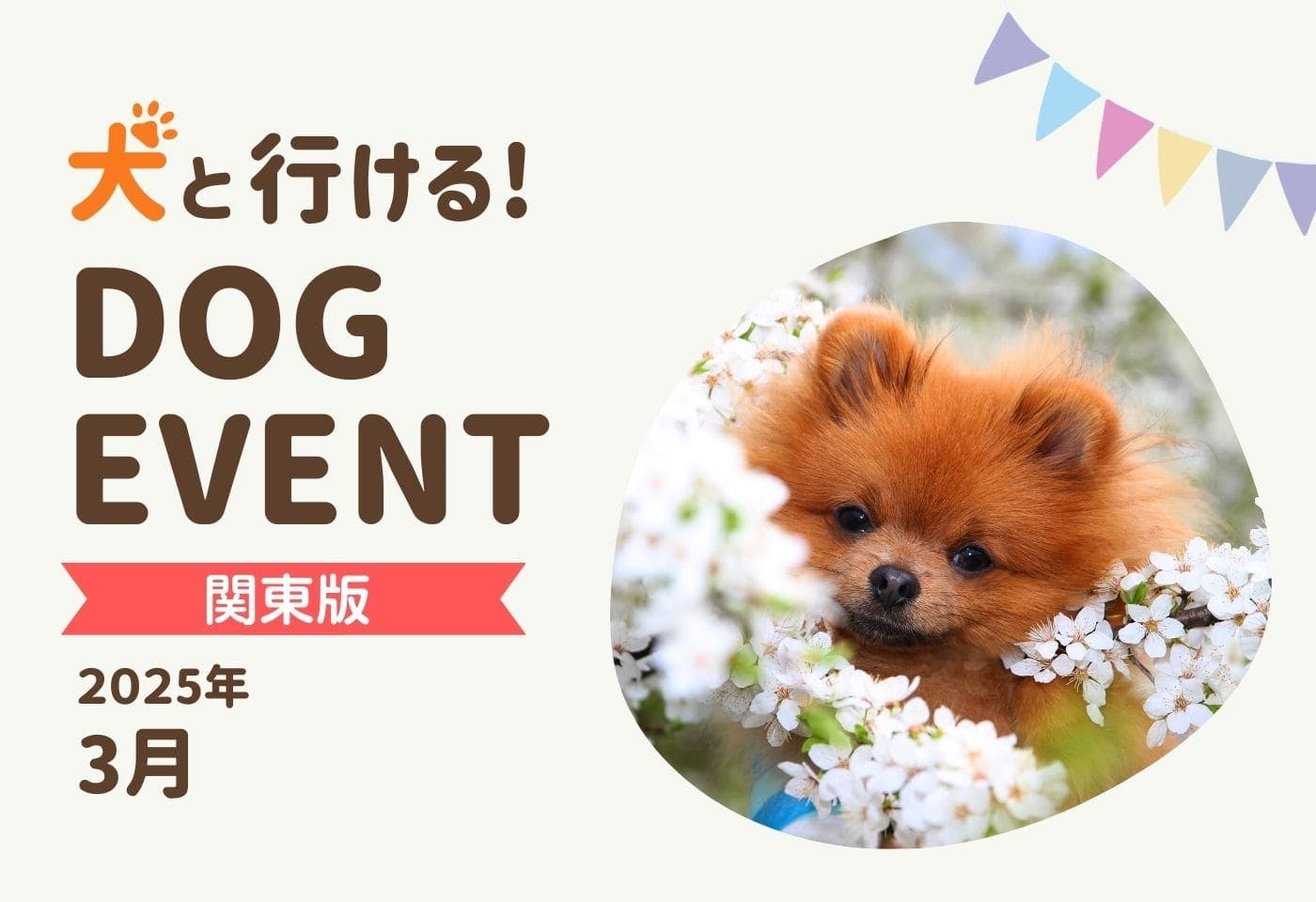 【関東版2025年3月】愛犬と行きたいドッグイベント