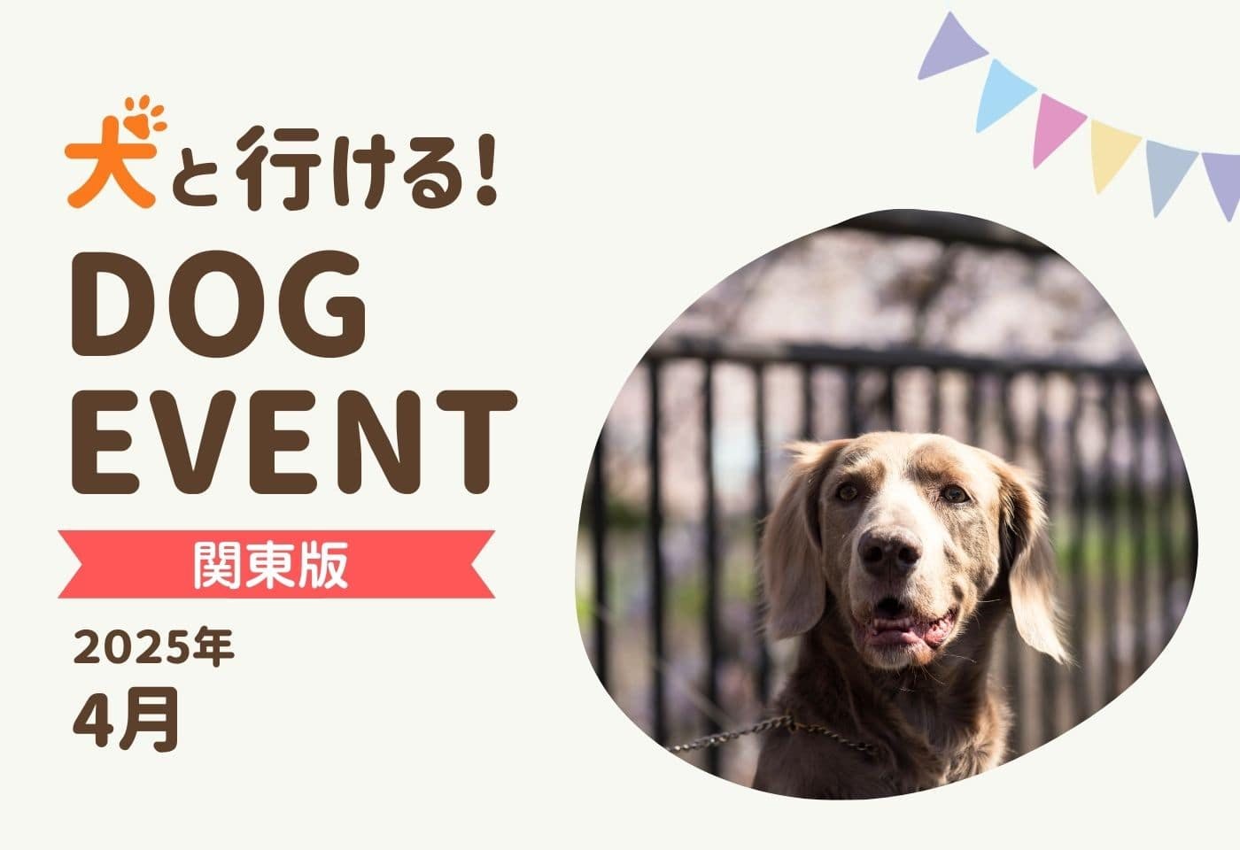 【関東版2025年4月】愛犬と行きたいドッグイベント