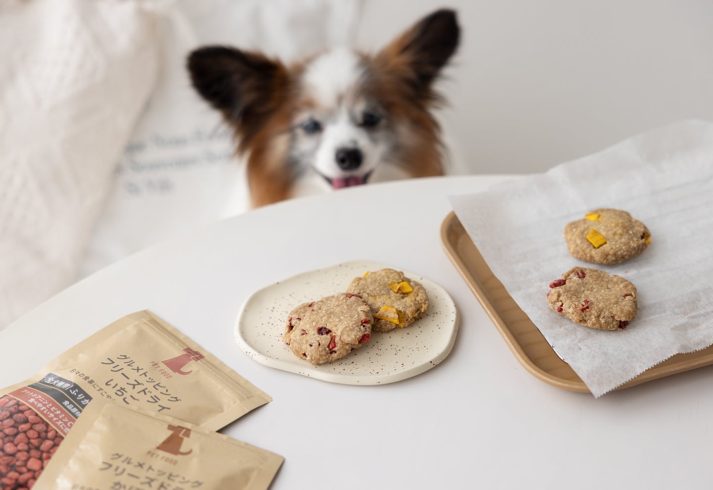 小麦粉でつくる犬用簡単おやつ「オートミールクッキー」やグルテンフリーのレシピも！