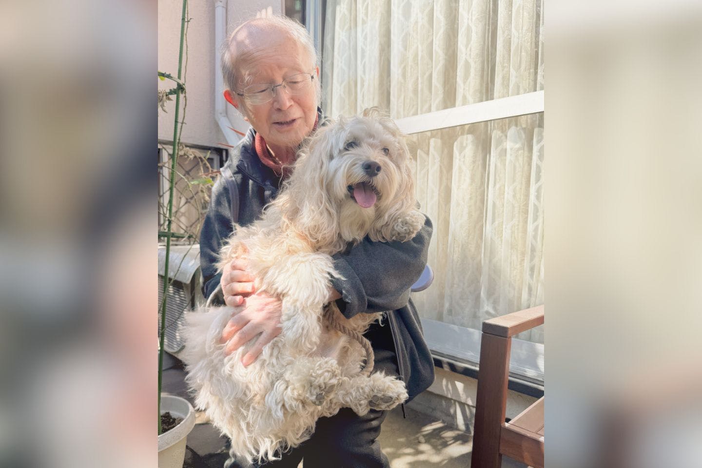 飼い主よりご近所さん? 玉木さんが大好きな、コッカプーのかまぼこ君 飼い主よりご近所さん? 玉木さんが大好きな、コッカプーのかまぼこ君
