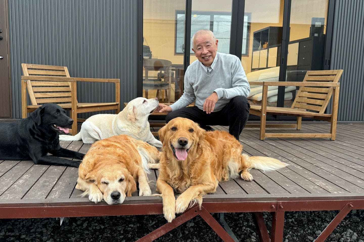 多和田さんとドッグトレーニングのワンちゃんたち 多和田さんとドッグトレーニングのワンちゃんたち