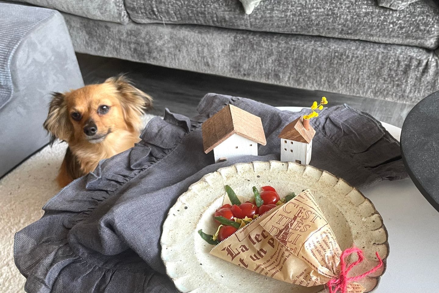 愛犬も食べられる「チューリップブーケ風サラダ」野菜だけを使った、ヘルシーおやつ【カインズ愛犬レシピ】