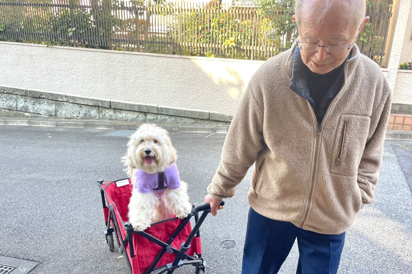 かまぼこ君と玉木さん 一緒にお散歩も かまぼこ君と玉木さん 一緒にお散歩も