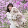 矢野やすこ（フォトグラファー）