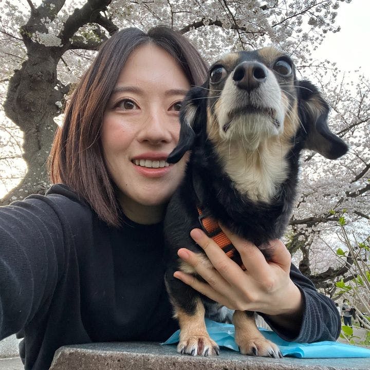 なな（愛犬家）