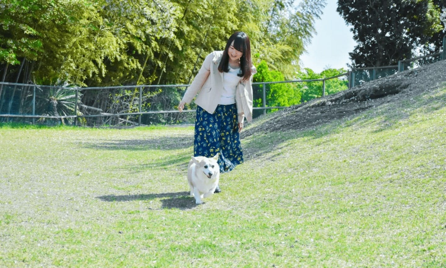 伊豆ぐらんぱる公園（静岡県伊東市）