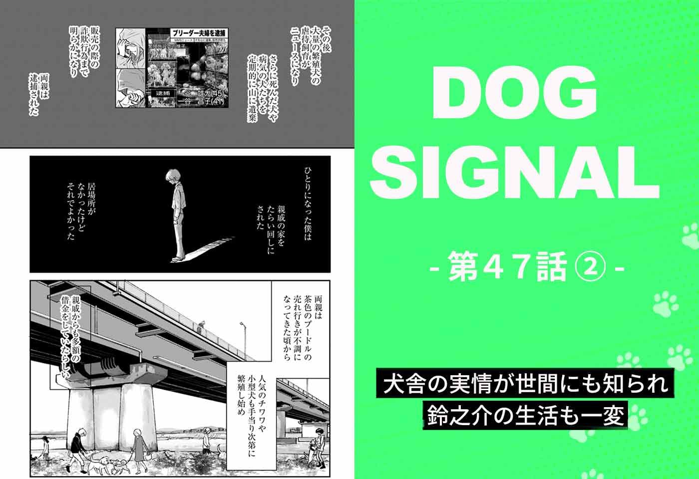 漫画『DOG SIGNAL(ドッグシグナル)』47話目2/4 親の犬舎の実情が明るみに出た…