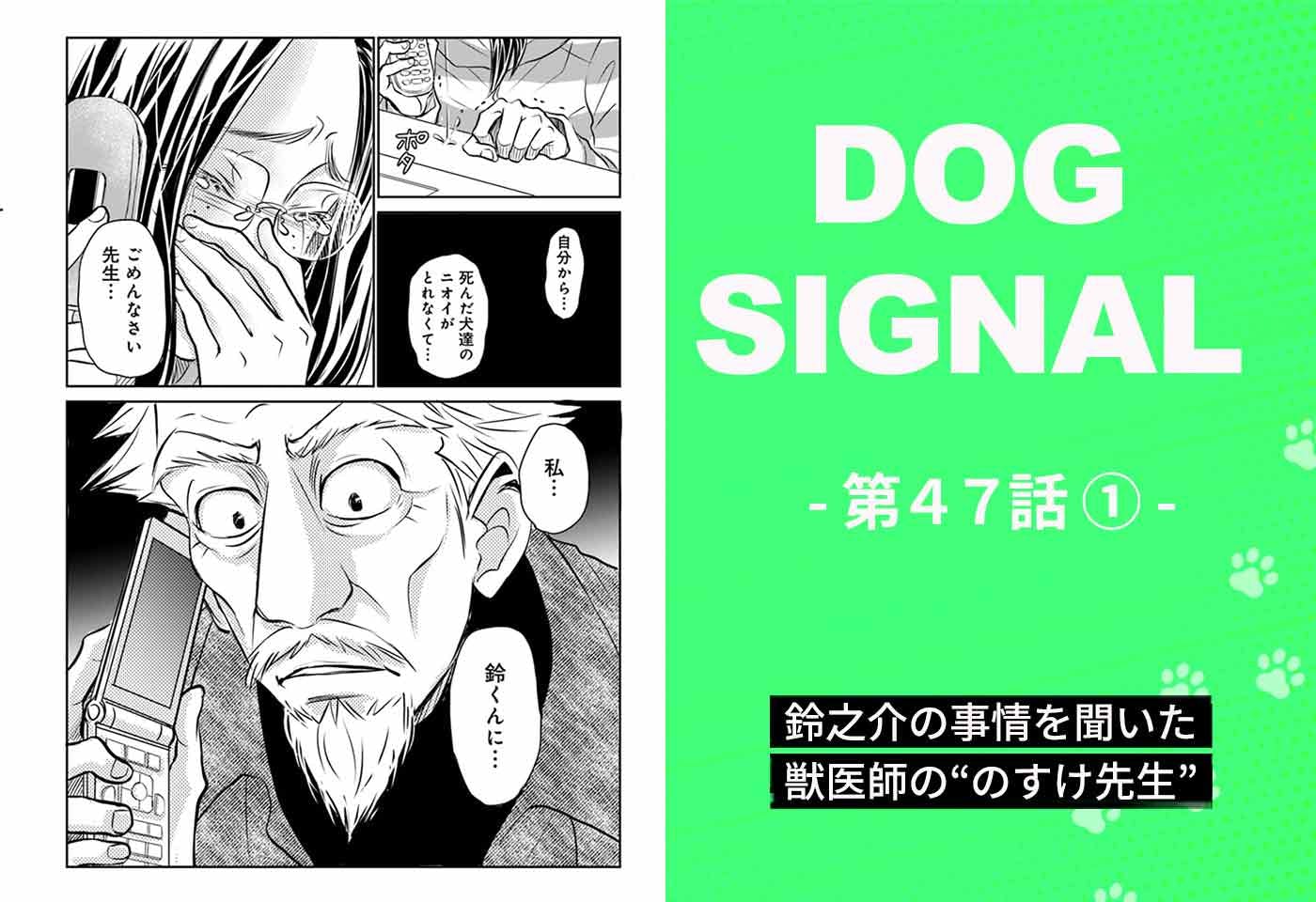漫画『DOG SIGNAL(ドッグシグナル)』47話目1/4 鈴之介の事情を聞いたのすけ先生
