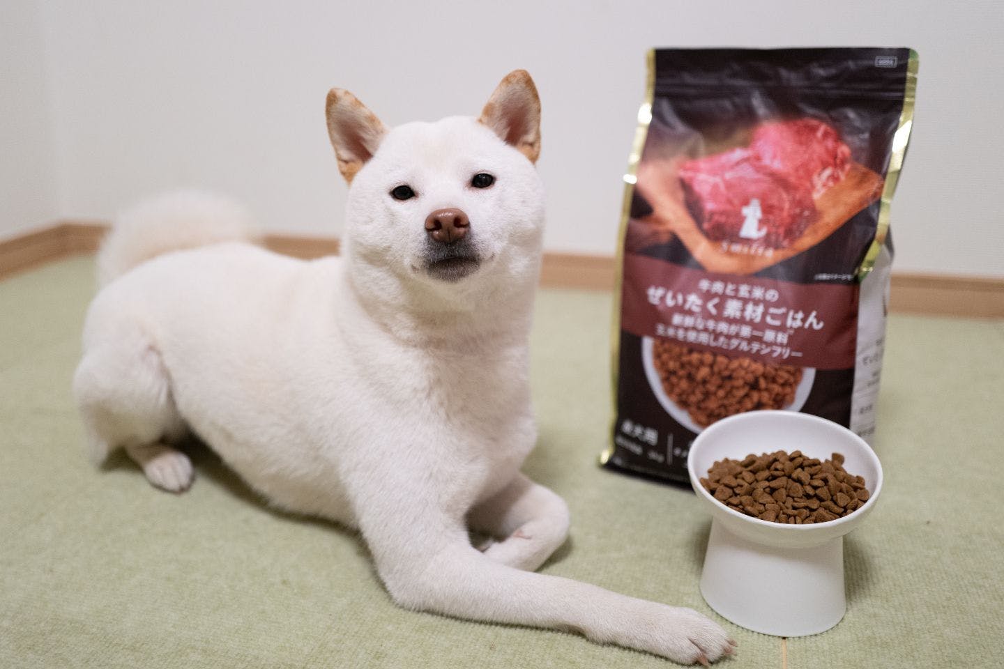 カインズのプレミアムフード『ぜいたく素材ごはん』 愛犬レポート カインズのプレミアムフード『ぜいたく素材ごはん』 愛犬レポート