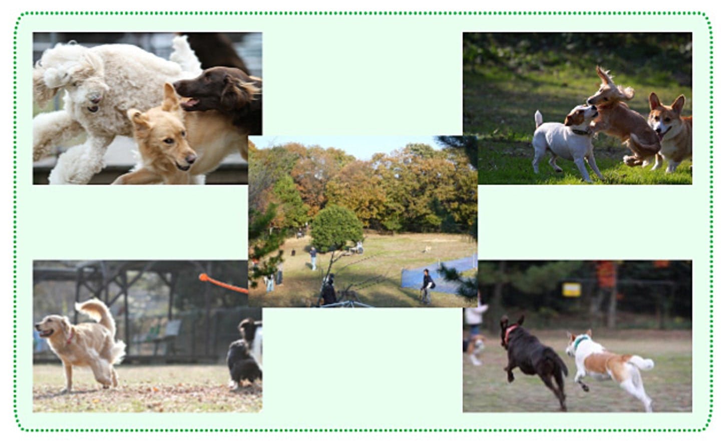 ドッグラン犬の森ポム（静岡県浜松市）