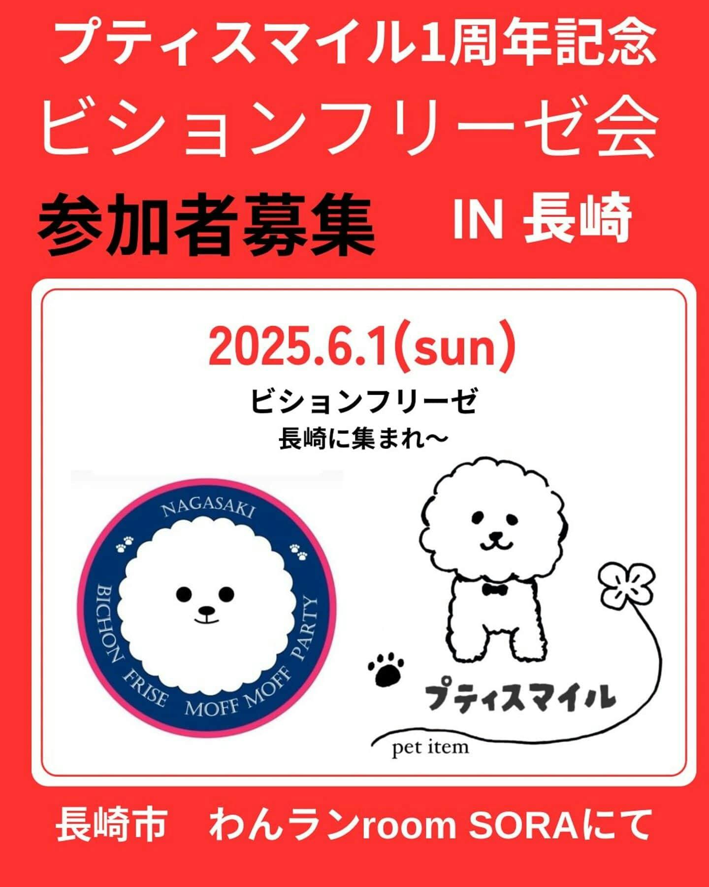 【2025/6/1】プティスマイル1周年記念 ビションフリーゼもふもふ会（長崎）
