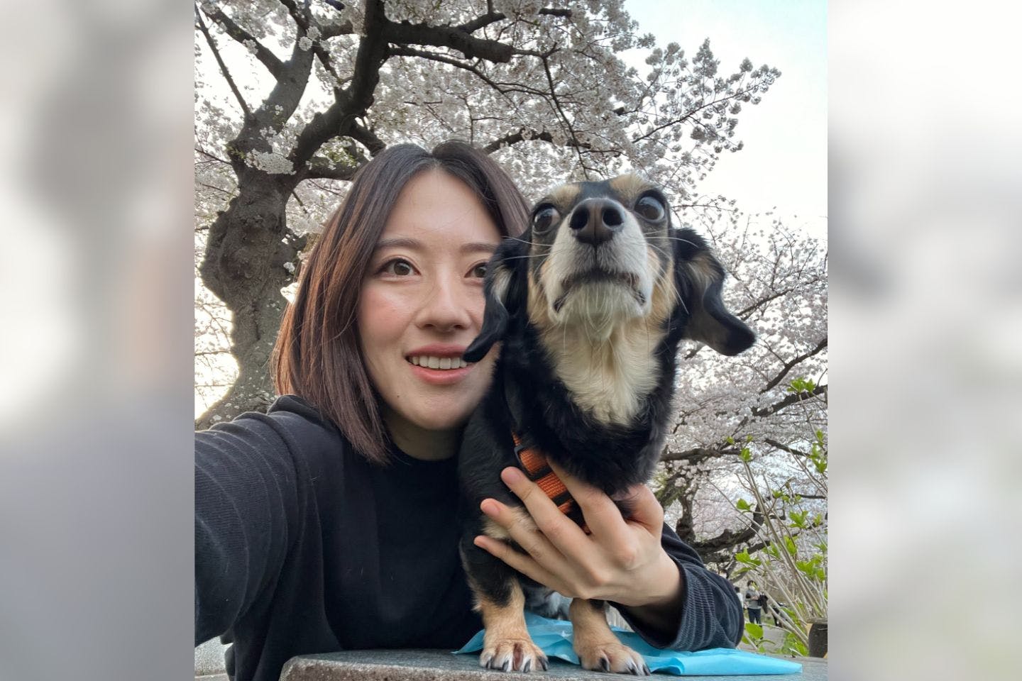 深田さんと元保護犬の愛犬・大福くん