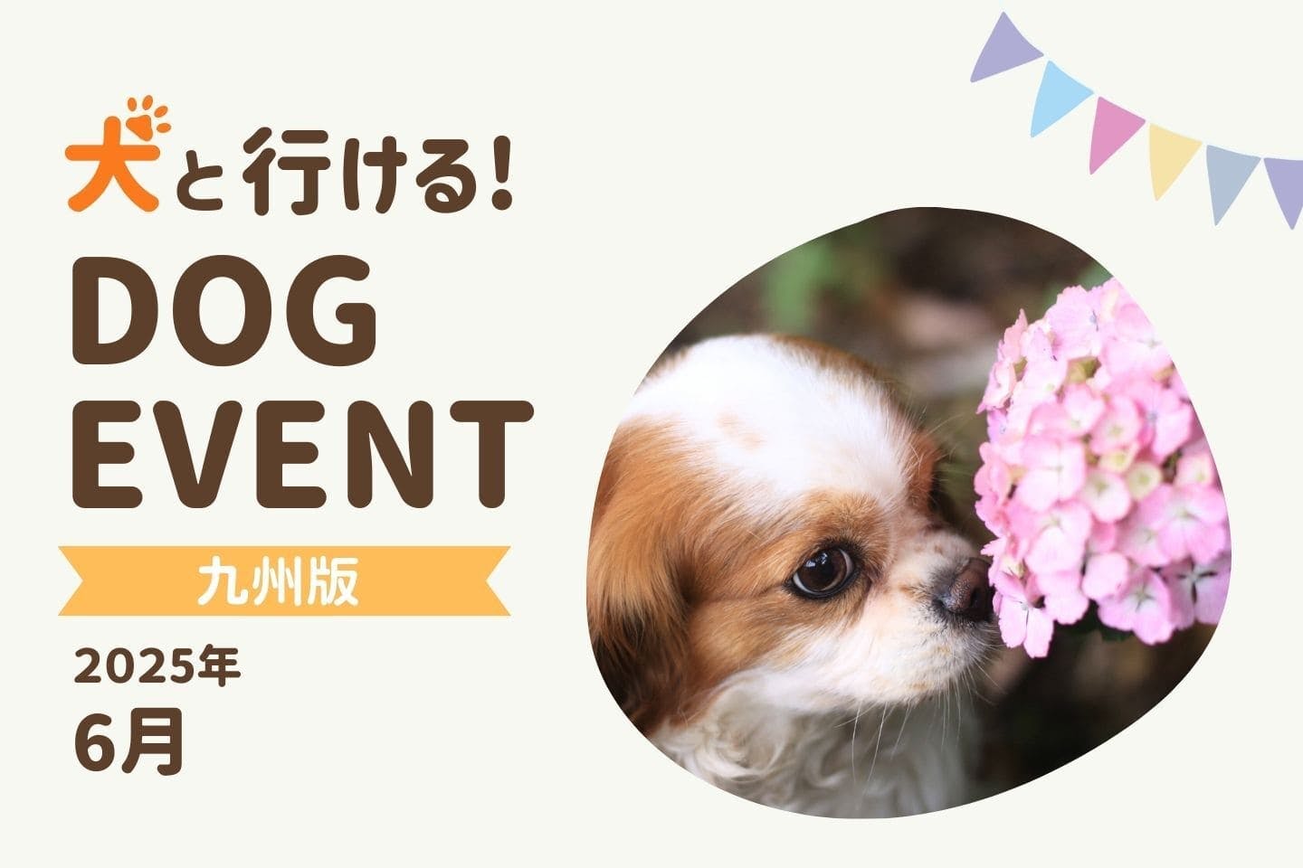 【九州版2025年6月】愛犬と行きたいおすすめドッグイベント4選