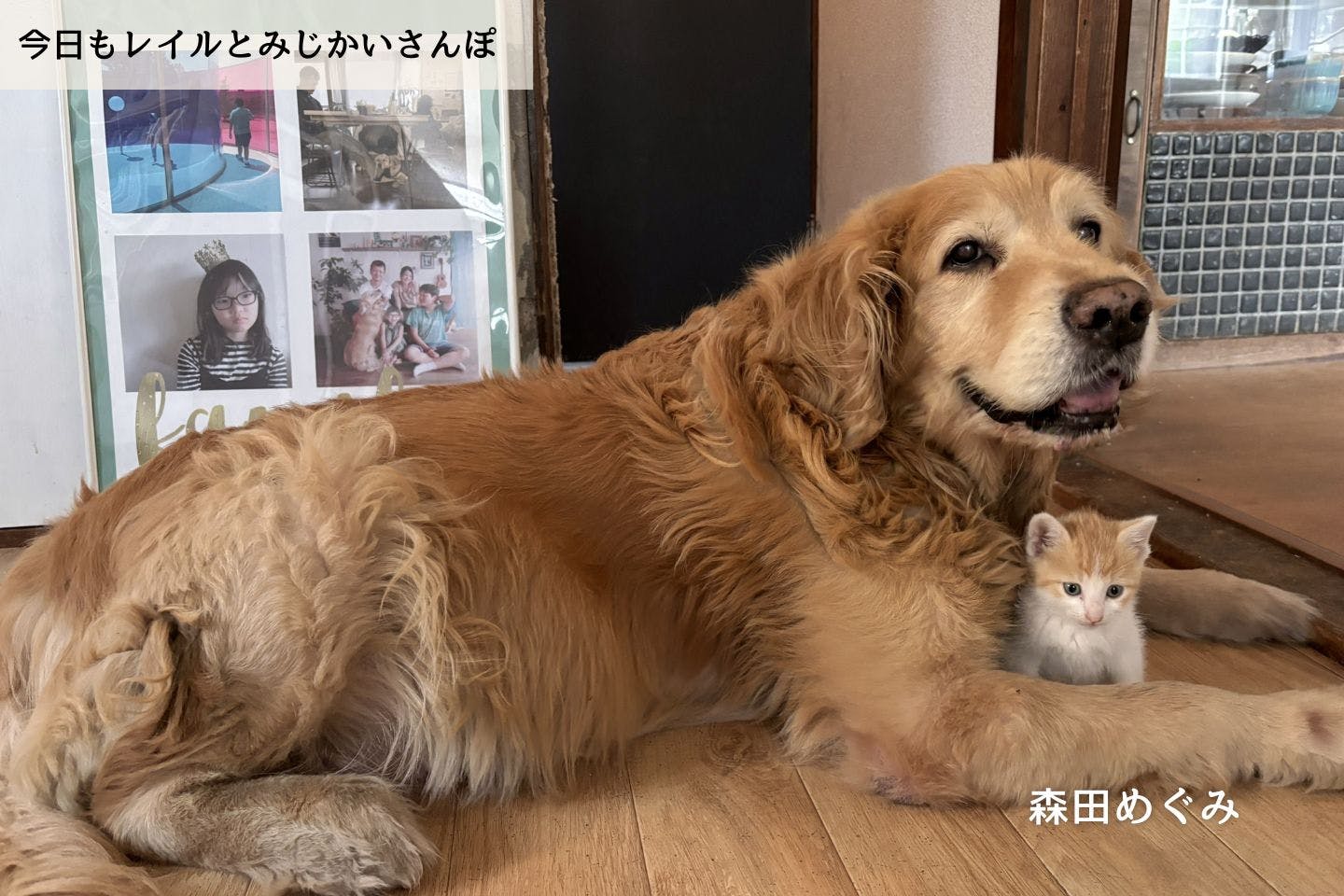 【連載】愛犬が拾った仔犬の話|森田めぐみ|今日もレイルとみじかいさんぽ