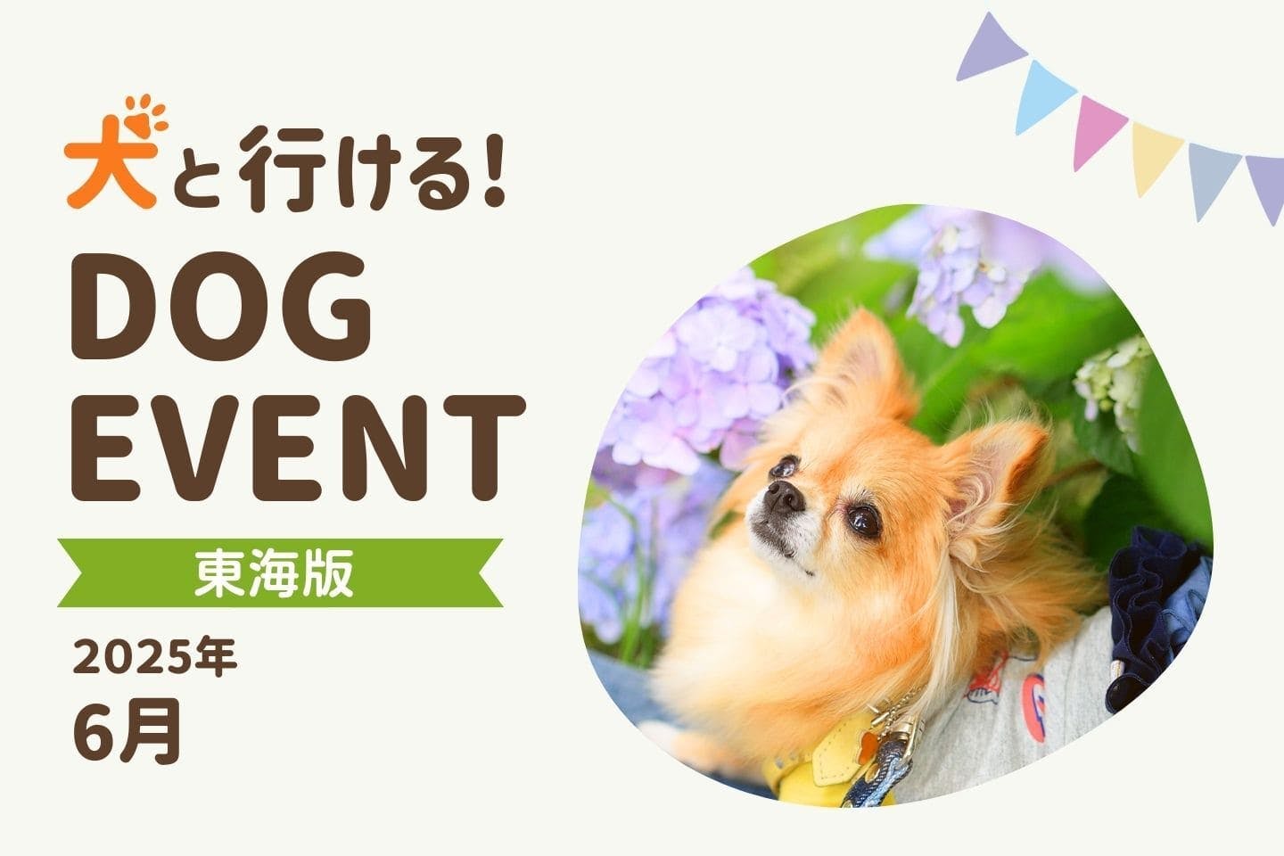 【東海版2025年6月】愛犬と行きたいドッグイベント5選