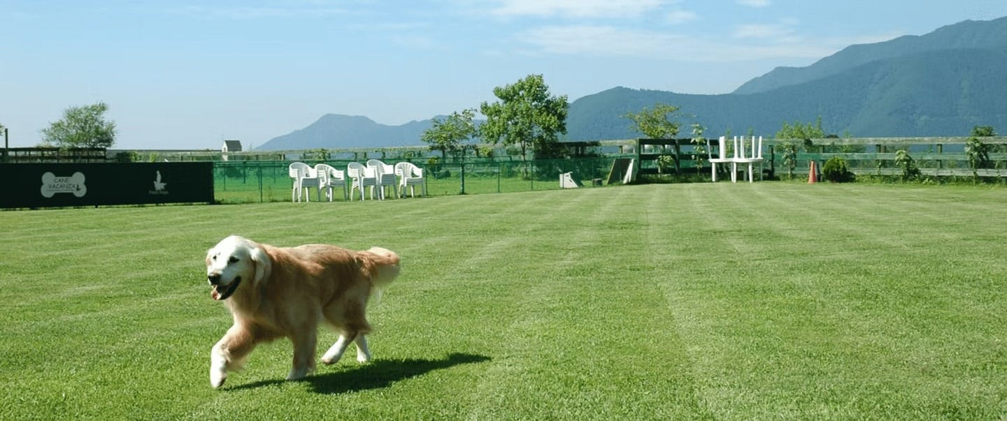 FieldDogsGarden（静岡県富士宮市）