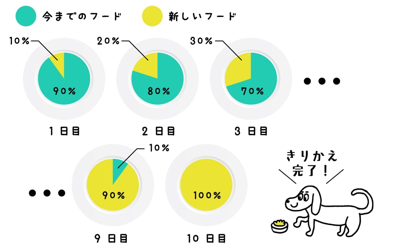 子犬用フードから成犬用フードへの切り替え方法