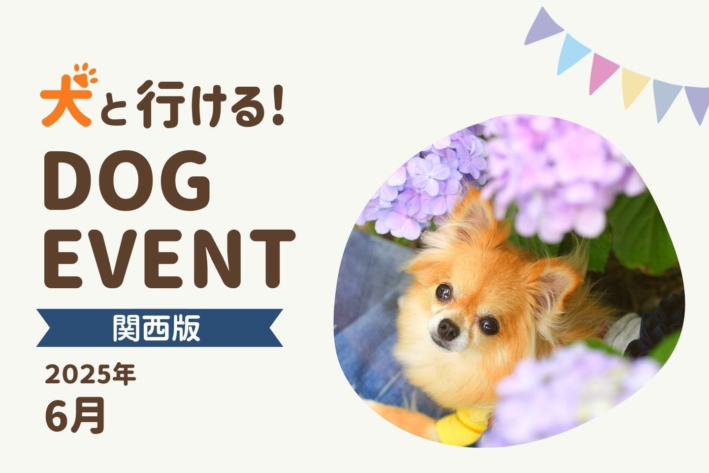 【関西版2025年6月】愛犬と行きたいドッグイベント5選
