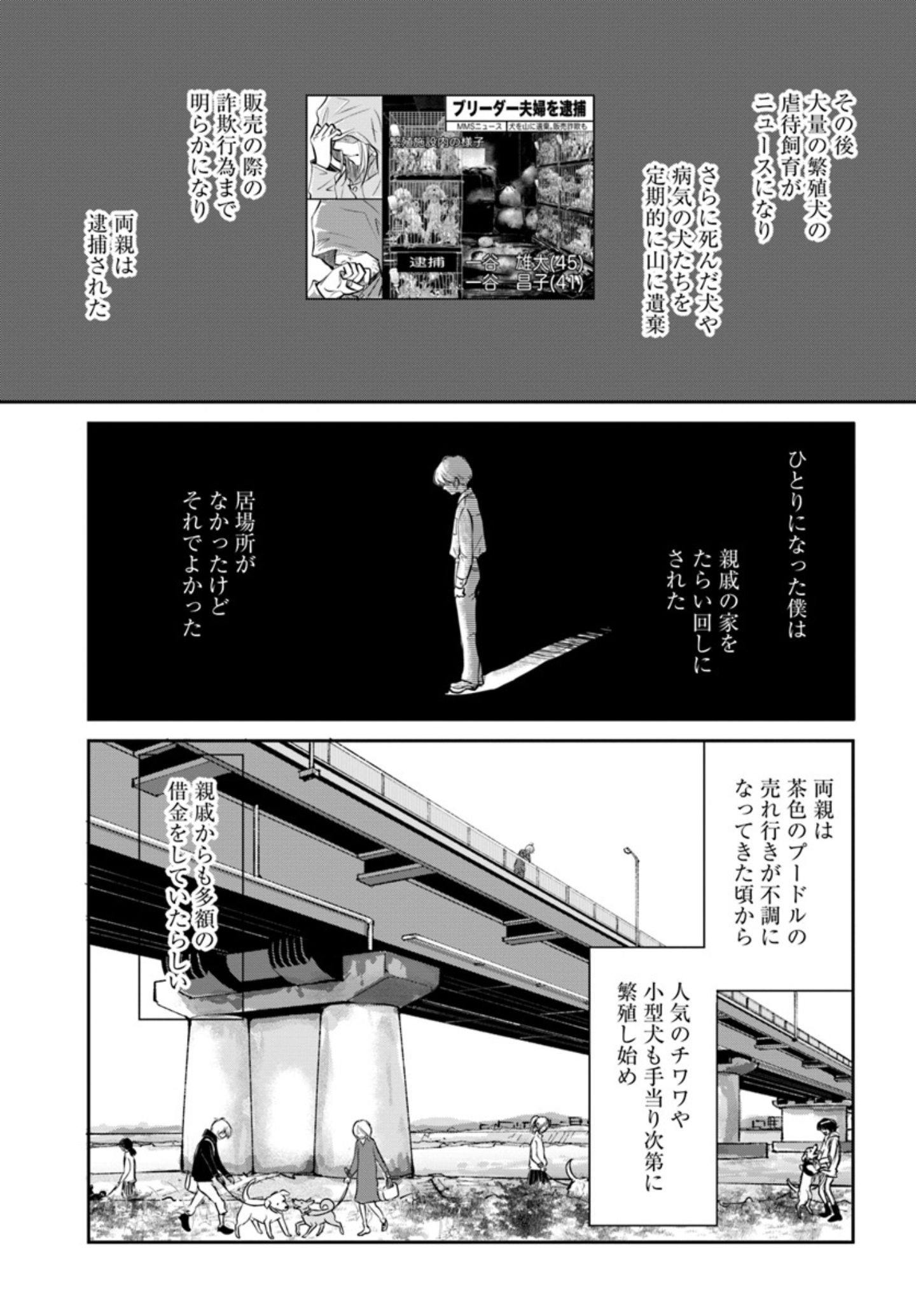 両親の経営する犬舎の実態『DOG SIGNAL(ドッグシグナル)』46話目3/4 犬舎の実情が明るみになり生活が一変『DOG SIGNAL(ドッグシグナル)』47話目2/4