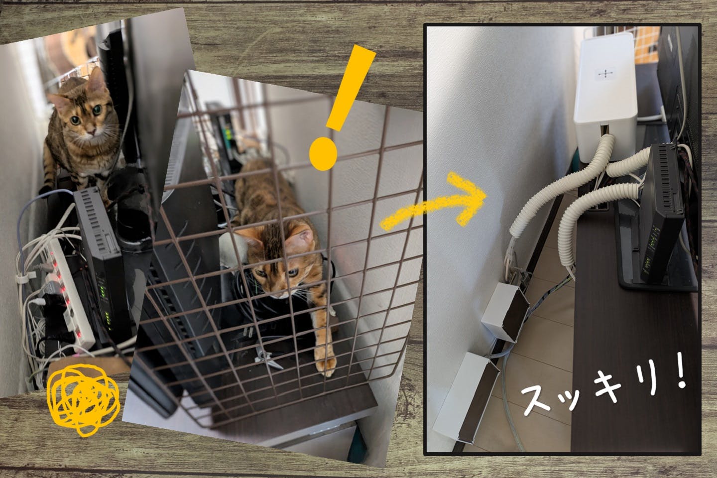 【ペットのコード対策③】配線全体を“隠してしまう”という選択肢も
