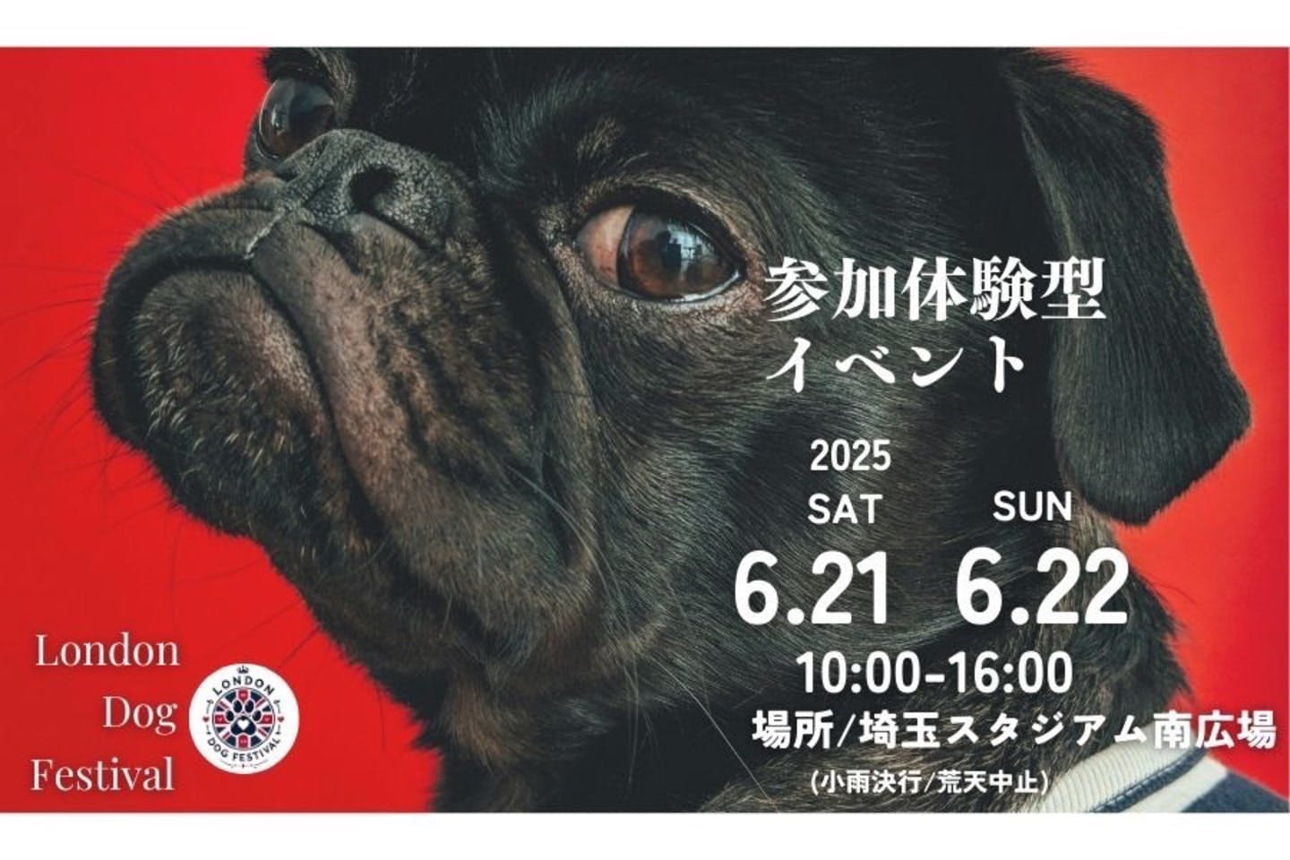 【2025/6/21・6/22】London Dog Festival 2025 in 埼玉スタジアム（埼玉）