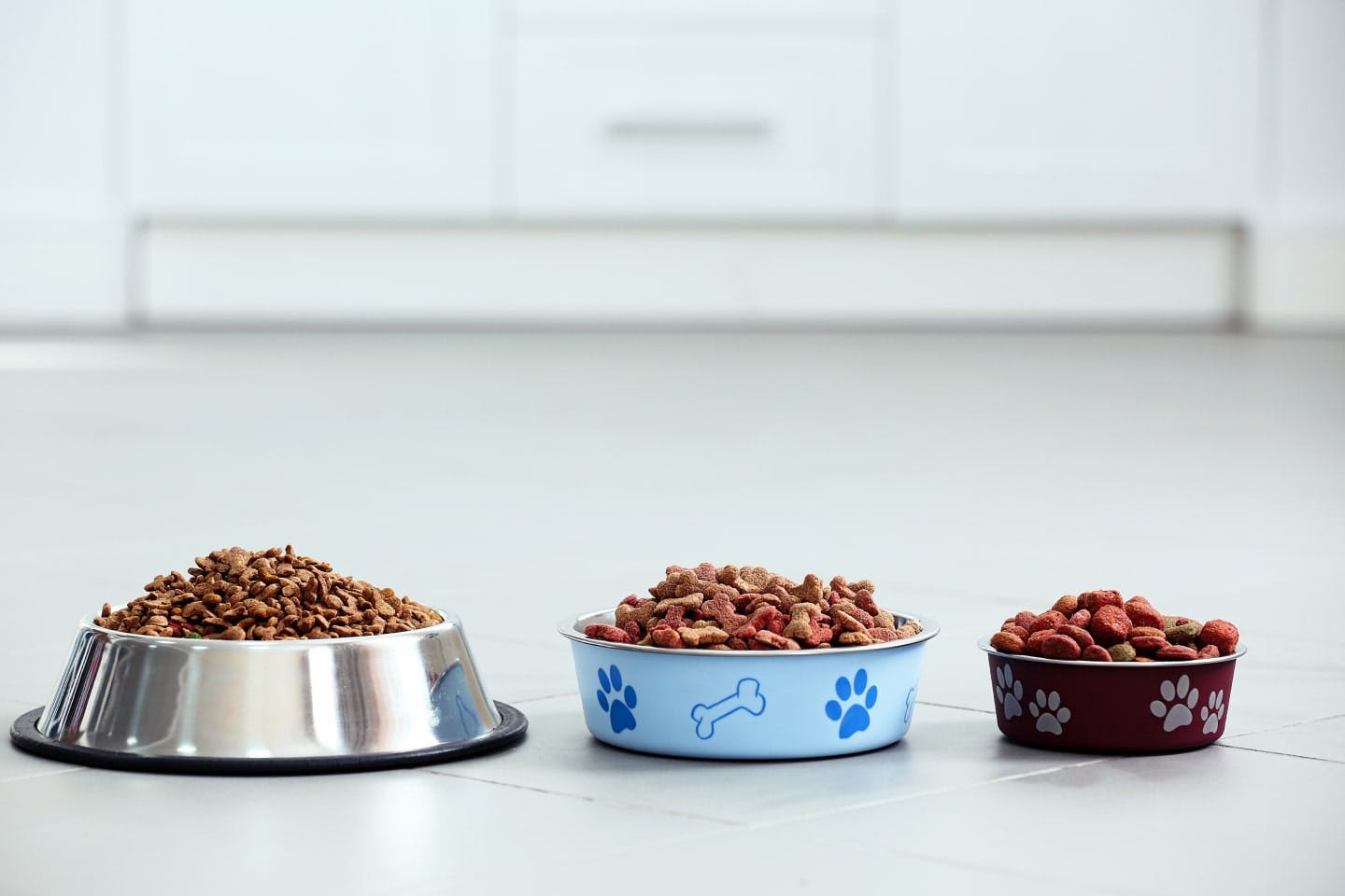 ドッグフードを与える前に愛犬に必要な食事量を知ろう！